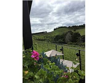 Tantalus Estate